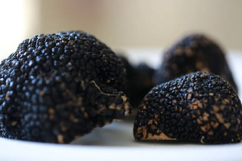 Truffe Tuber Aestivum. Le Pastel - Restaurant Toulon